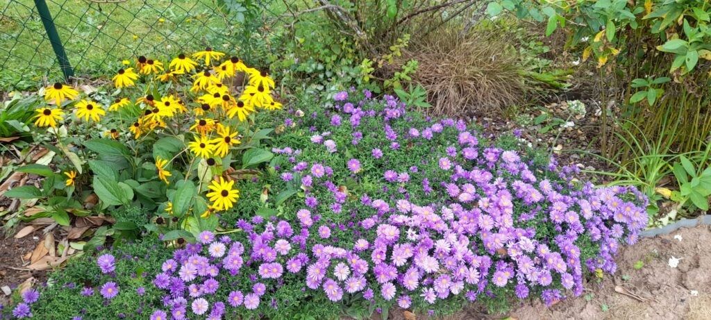 Ferienwohnung Rothenbusch
