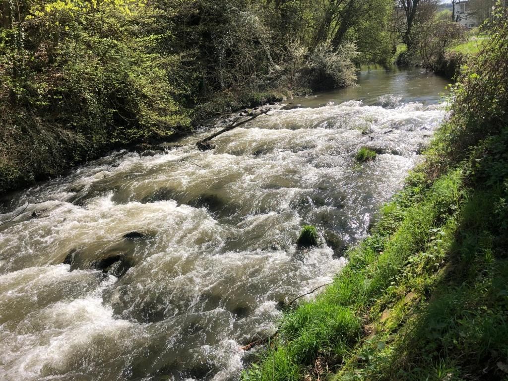 Ferienwohnung Rabenlay