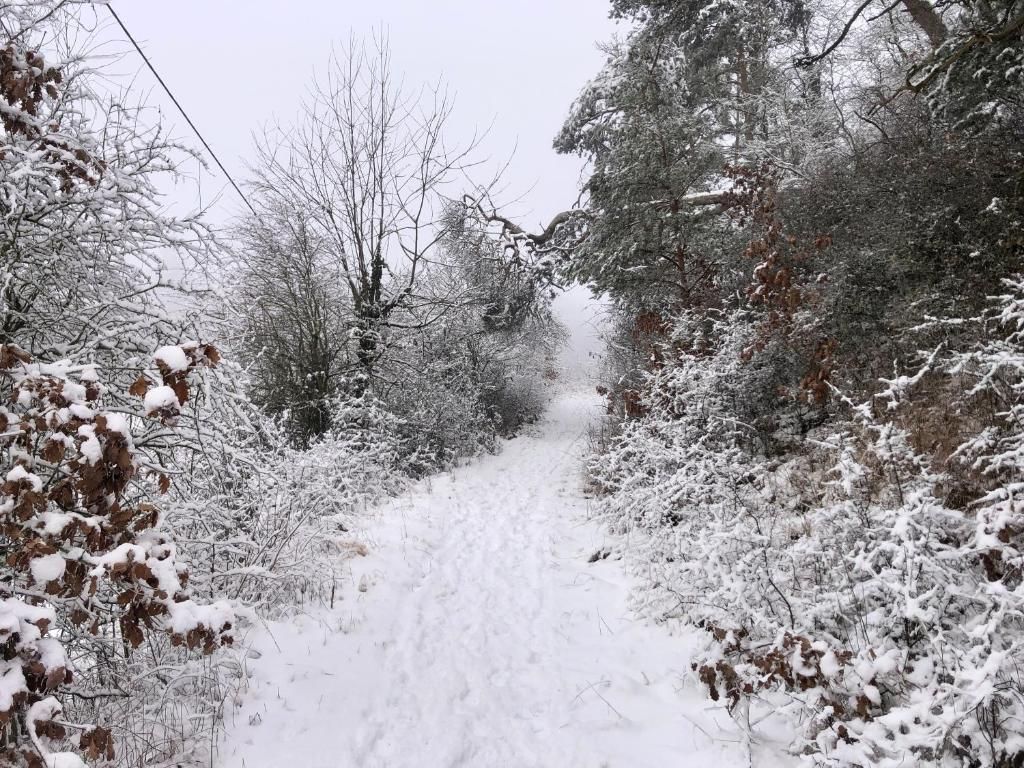 Ferienwohnung Rabenlay