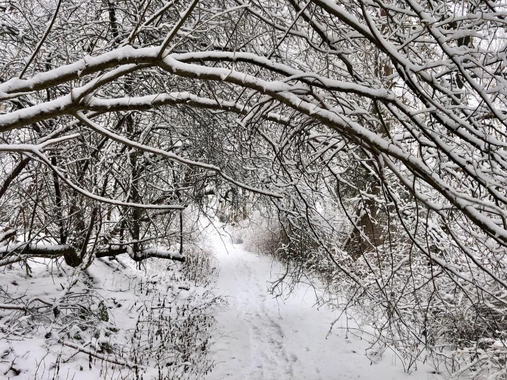 Ferienwohnung Rabenlay