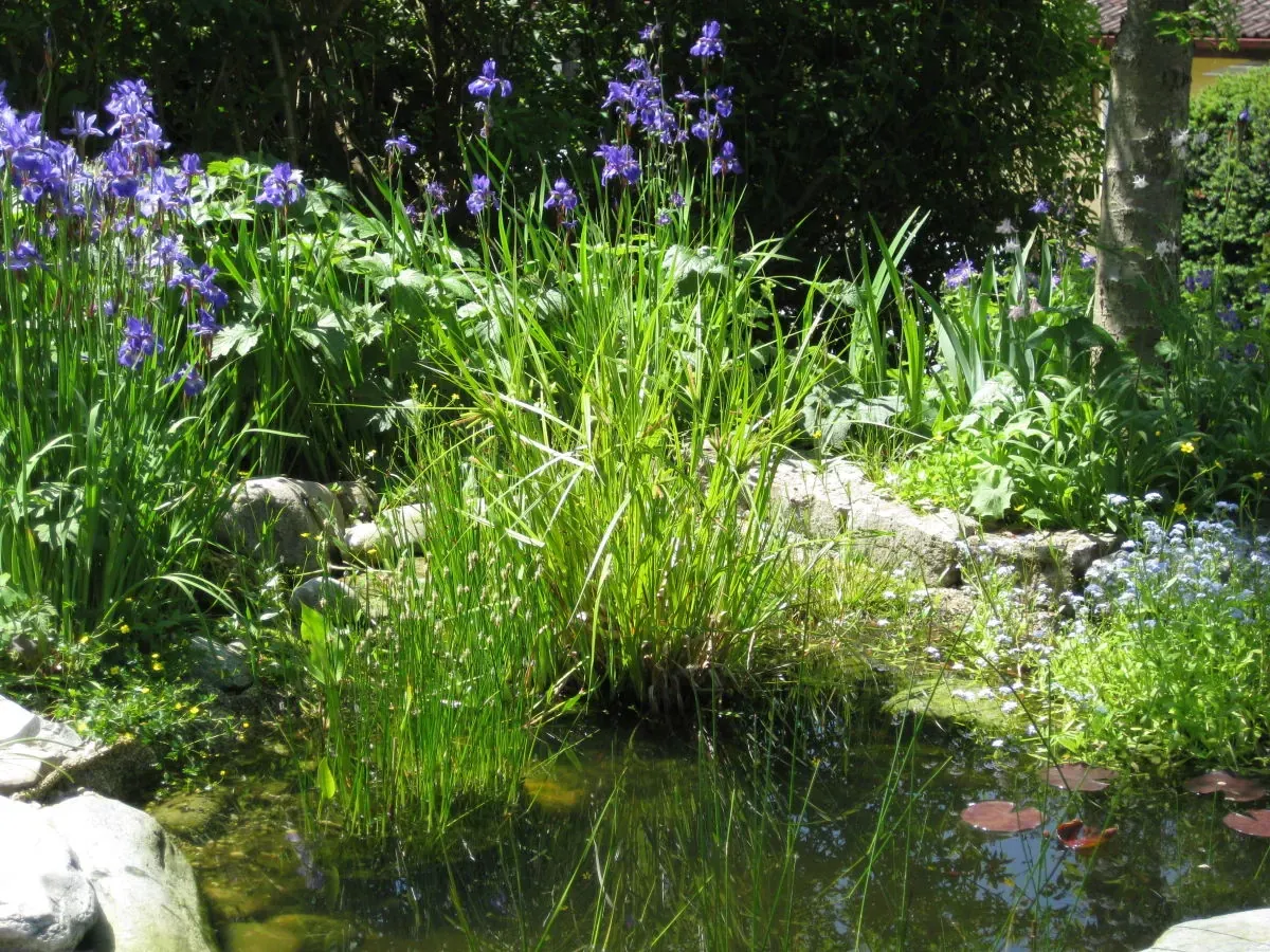 Ferienwohnungen Miramar