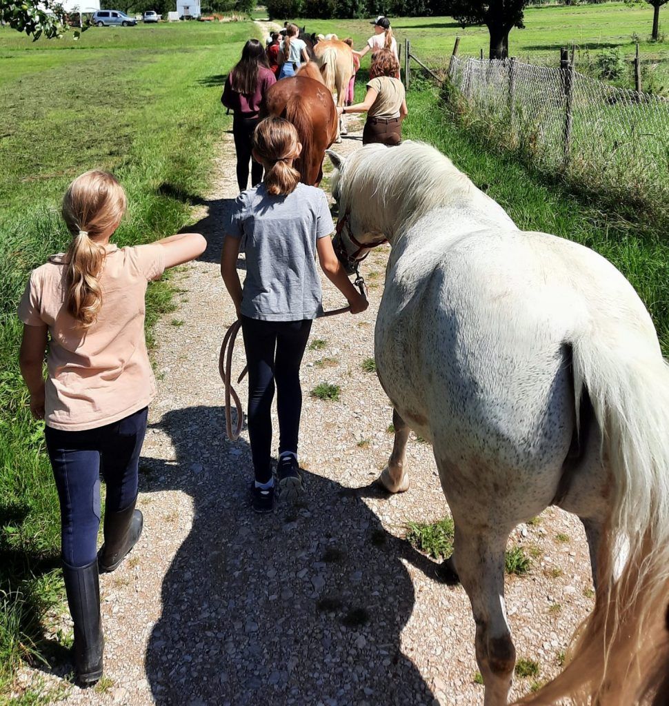 Wanderreiten auf der Schwäbischen Alb