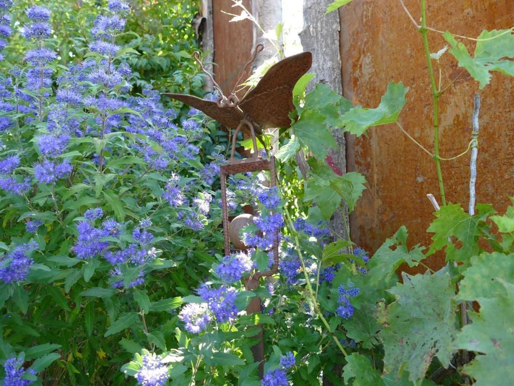 Ferienwohnung Lichtblick
