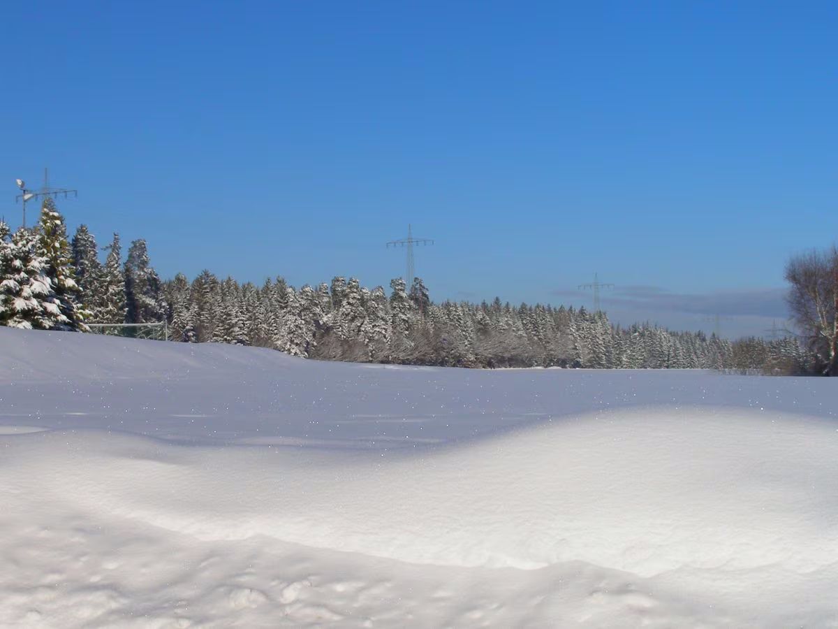 Ferienhaus Trollblume