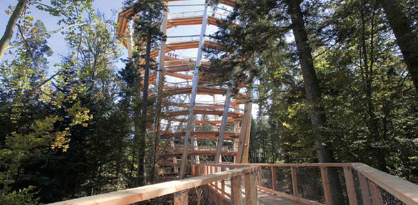 Gasthof zum Löwen Enzklösterle