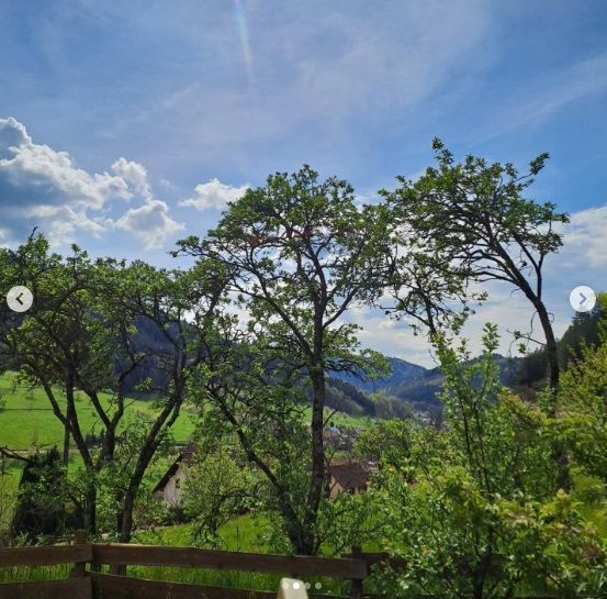 Pension Bäuerle Hof