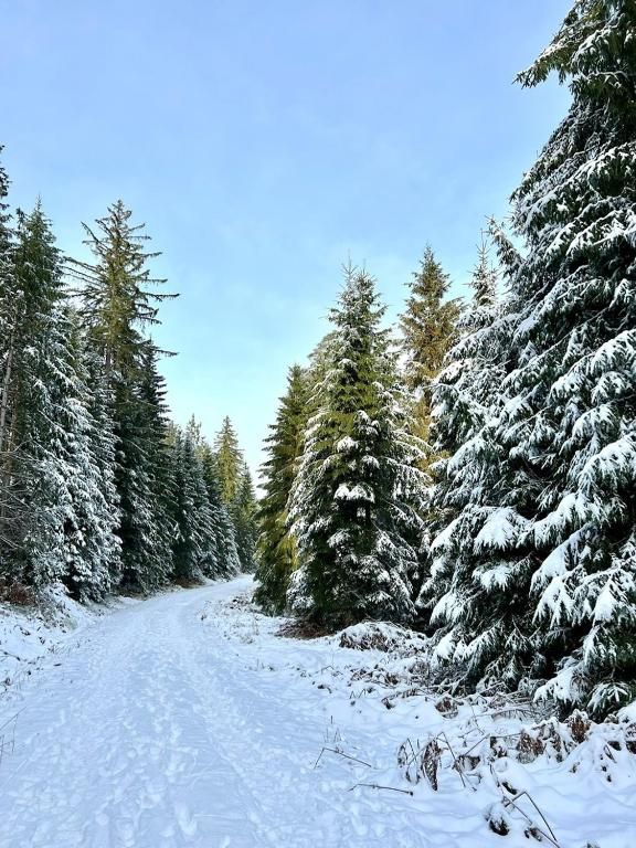 Ferienwohnung Tannenduft
