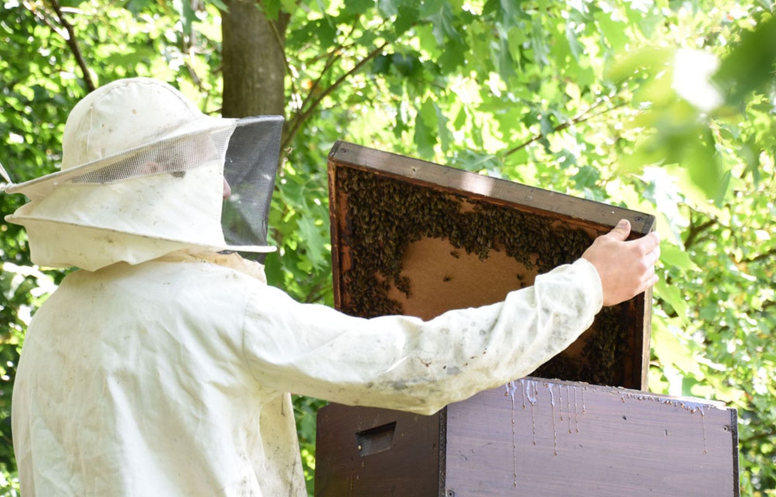 Vogtbenedikthof im Schwarzwald