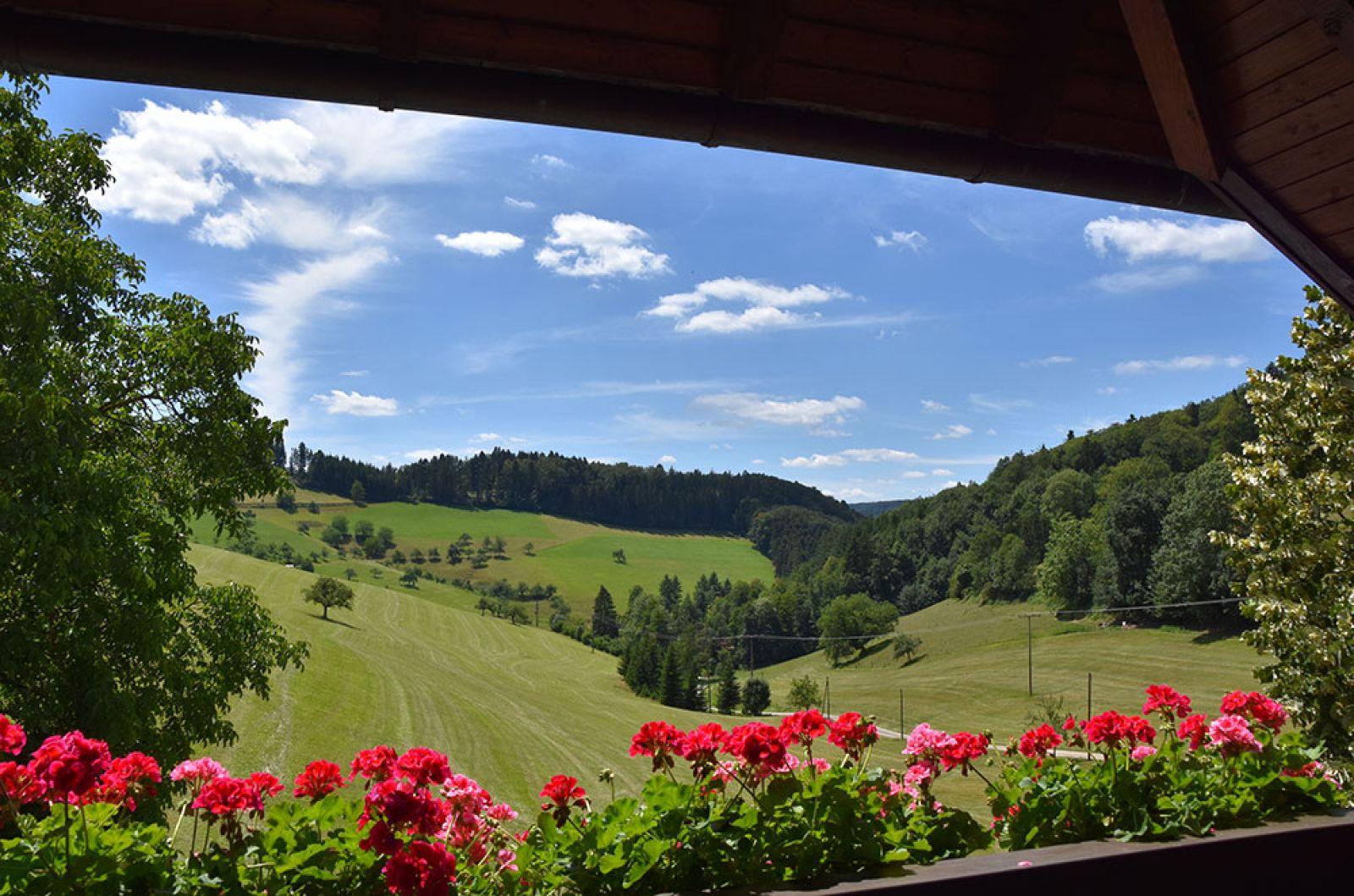 Vogtbenedikthof im Schwarzwald