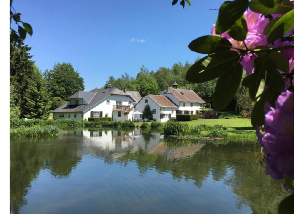 Hotel & Restaurant Le Vieux Moulin