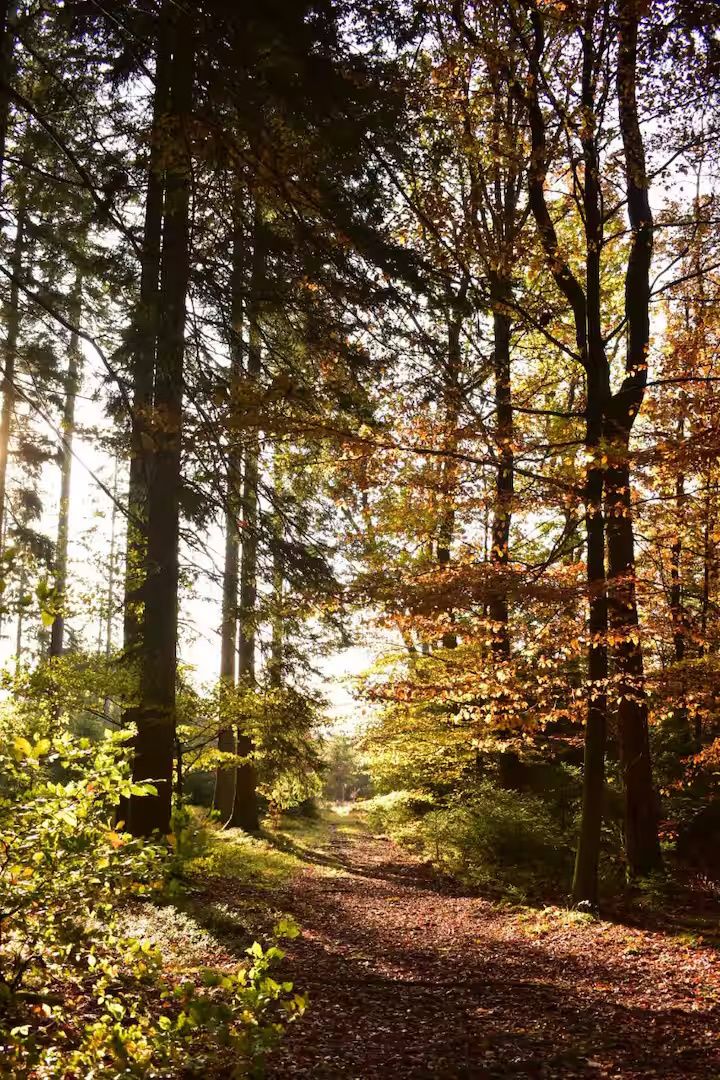 Ferienwohnung Mitten in der Natur