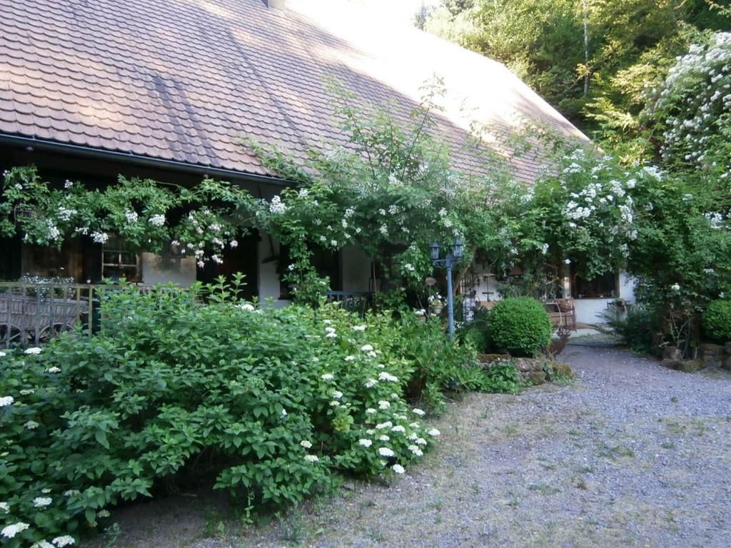 Ferienwohnung Vier Jahreszeiten Idyll