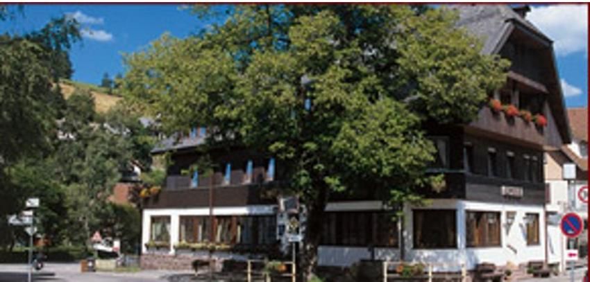 Gasthof Adler Tennenbronn