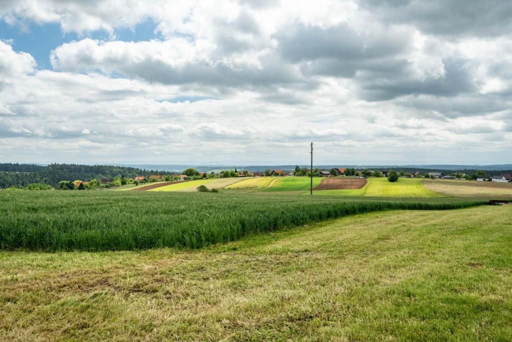 Ferienwohnung Schwarzwald Ruhe