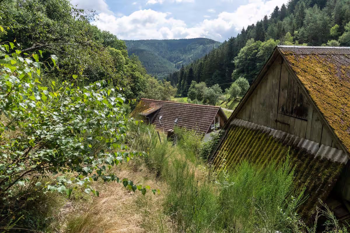 Ferienhaus Speicherhäusle - Hasenhof Hornberg