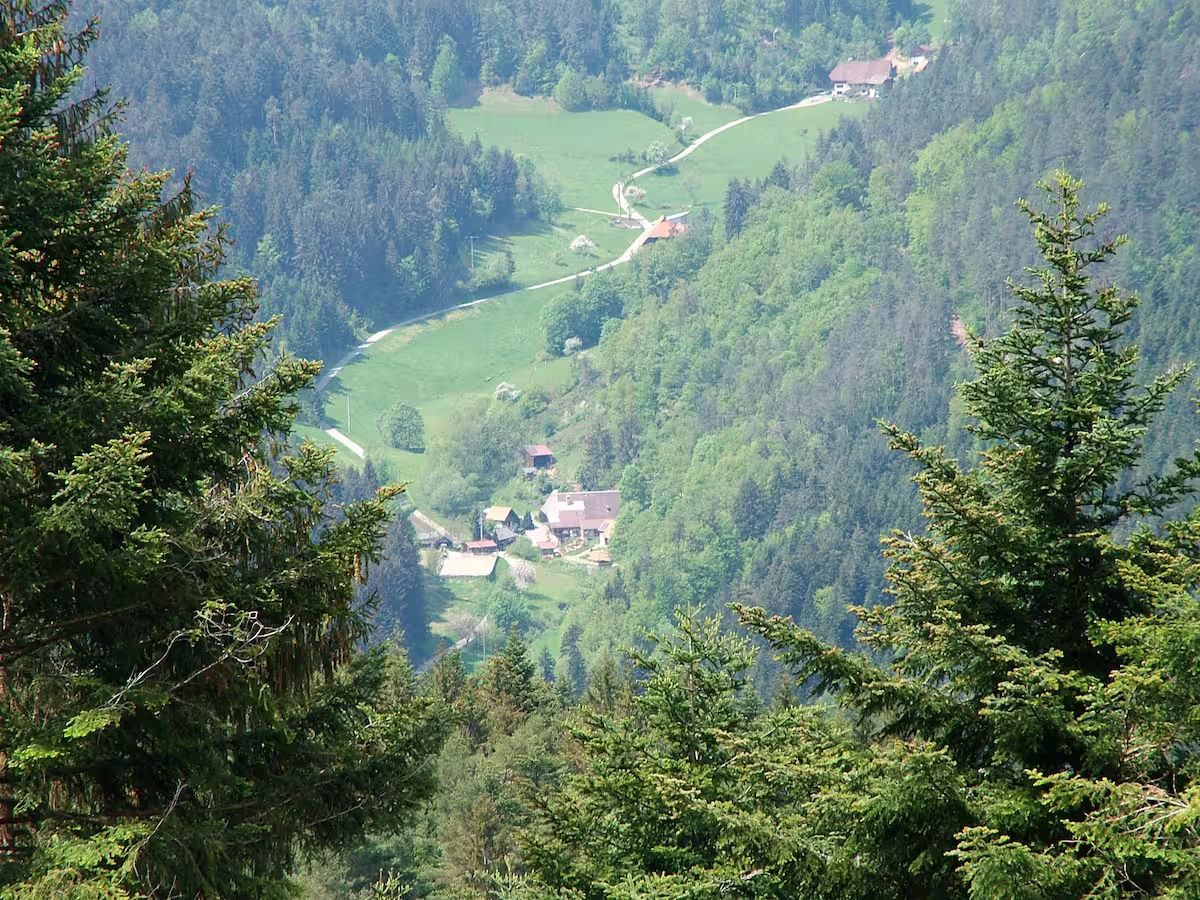 Ferienhaus Speicherhäusle - Hasenhof Hornberg