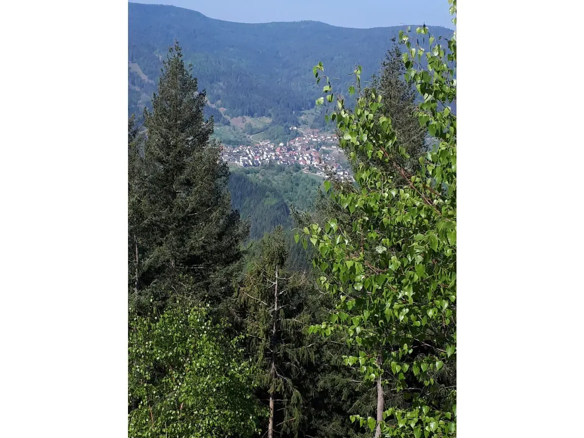 Ferienwohnung Bäuerle