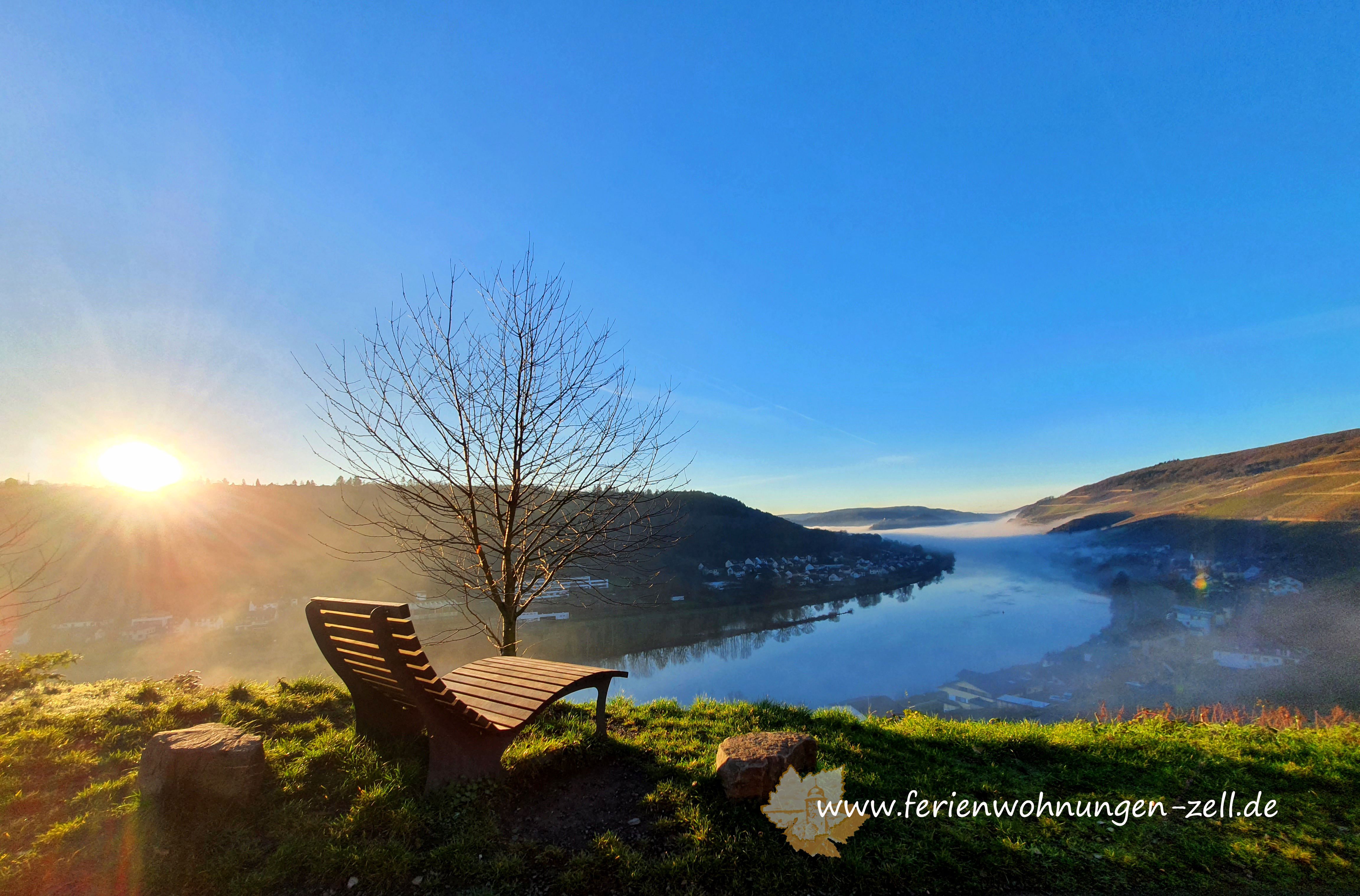 Fewo Hallenbach mit herrlichem Moselblick
