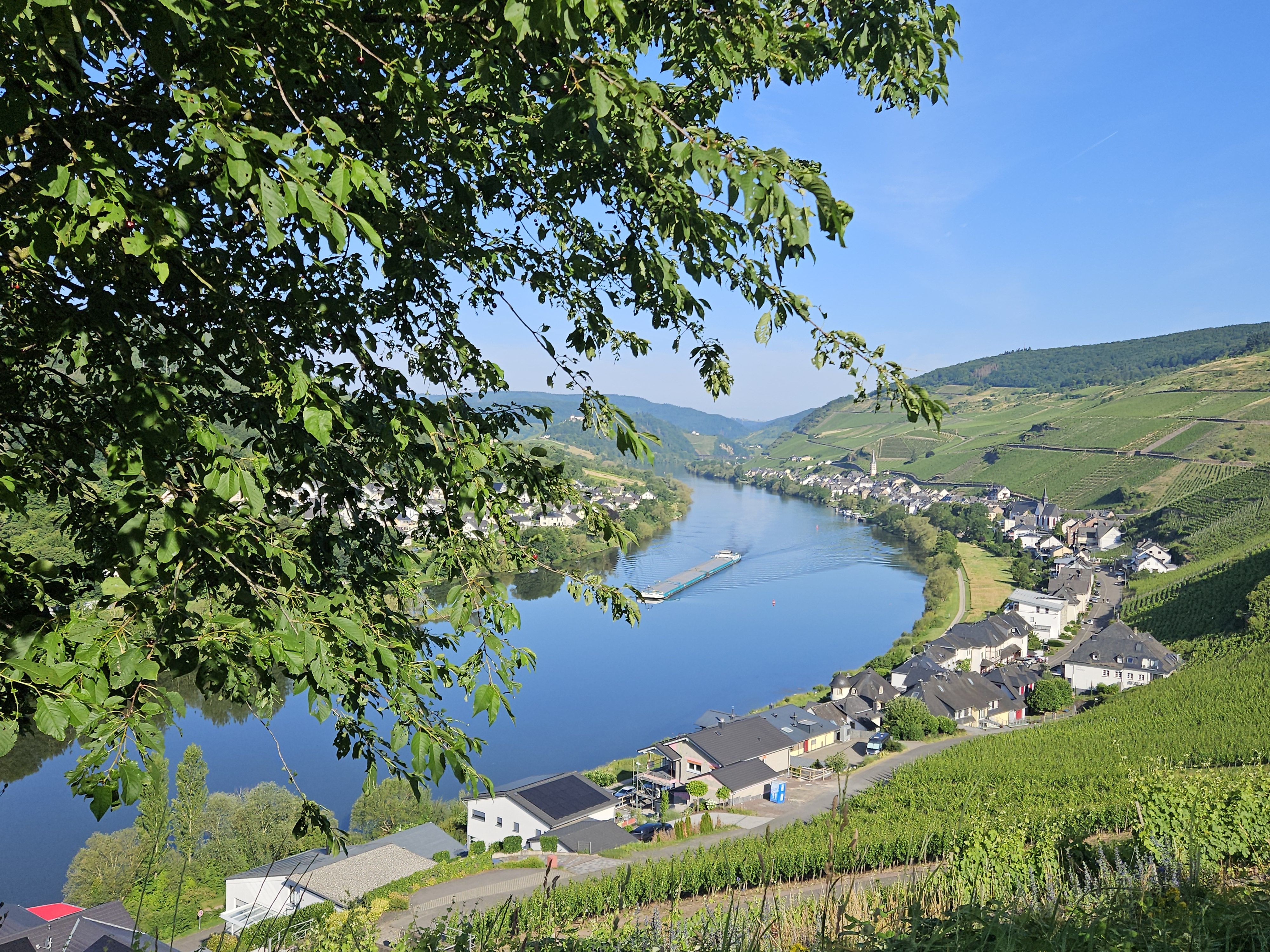 Waldecks Moselparadies in Traumlage ganz nah an der Mosel