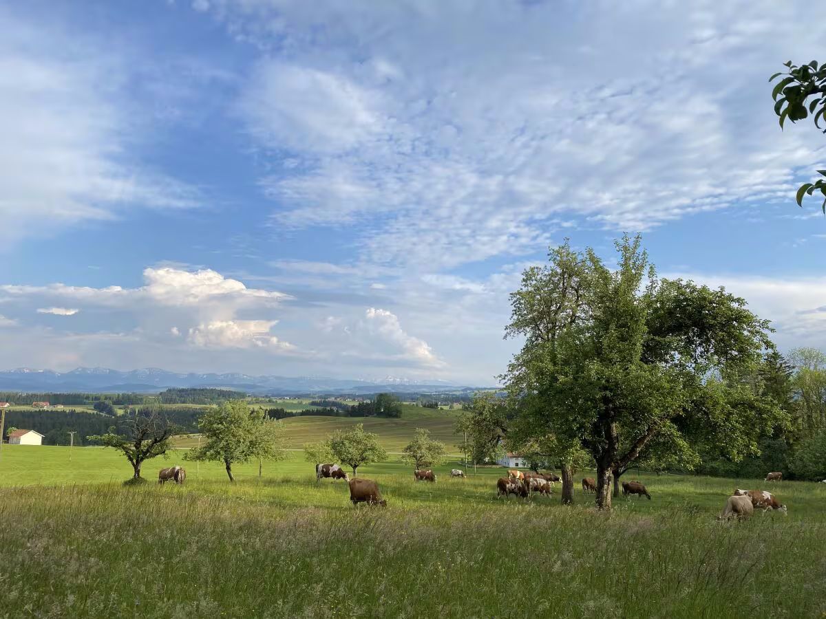 Ferienwohnung Allgäu Glück Simon