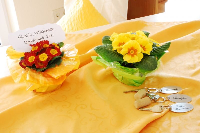 Tritt ein, bring Glück herein