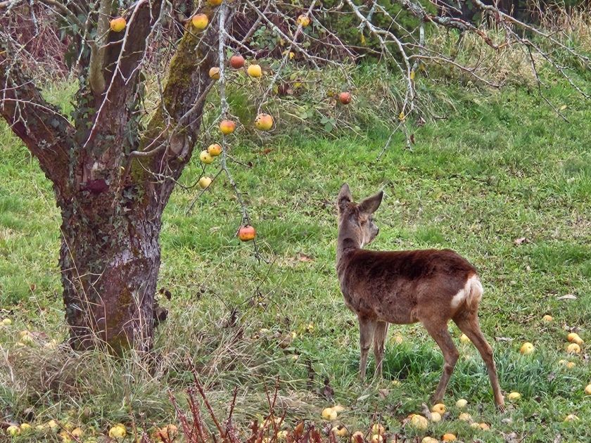 Auszeit an der Südlichen Weinstraße
