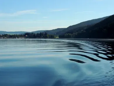 Urlaub in Titisee-Neustadt