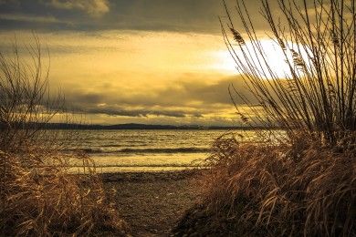 Hotels, Campingplätze und Ferienwohnungen in Immenstaad am Bodensee