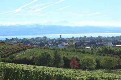 Kressbronn am Bodensee