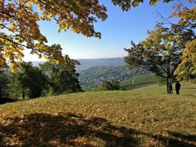Hotels, Campingplätze und Ferienwohnungen in Fellbach