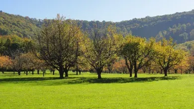 Urlaub in Beuren bei Nürtingen