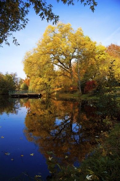 Hotels, Campingplätze und Ferienwohnungen in Heilbronn Hotels, Campingplätze und Ferienwohnungen in Heilbronn