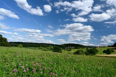 Hotels, Campingplätze und Ferienwohnungen im Nordschwarzwald