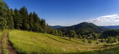 Hotels, Campingplätze und Ferienwohnungen in Bad Peterstal-Griesbach