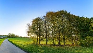 Hotels, Campingplätze und Ferienwohnungen in Achern