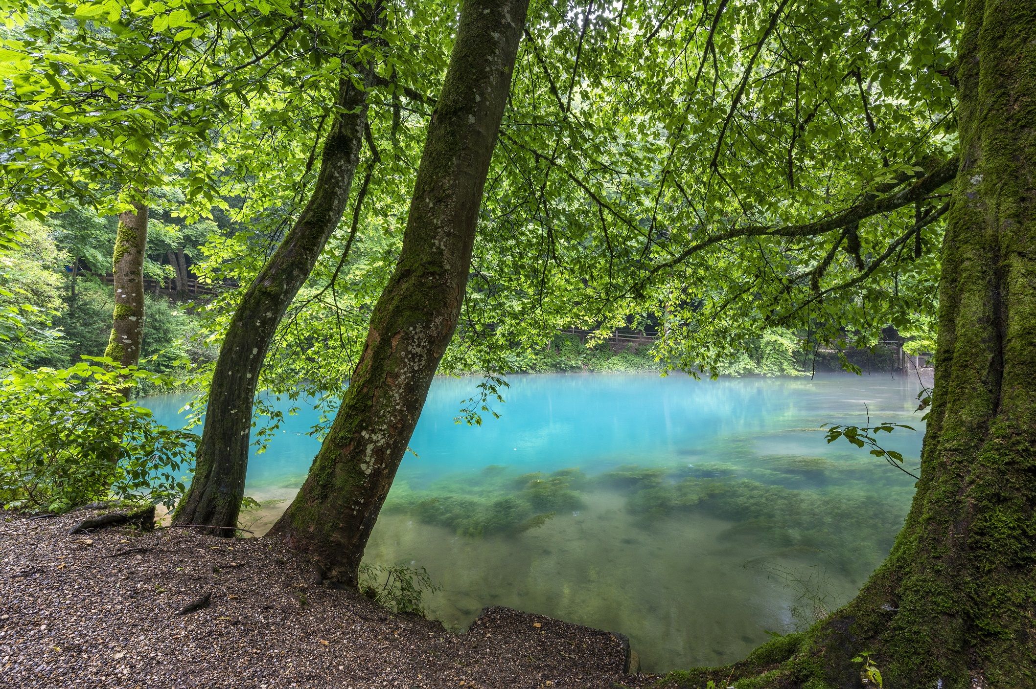 Hotels, Campingplätze und Ferienwohnungen in der Ferienregion Alb-Donau