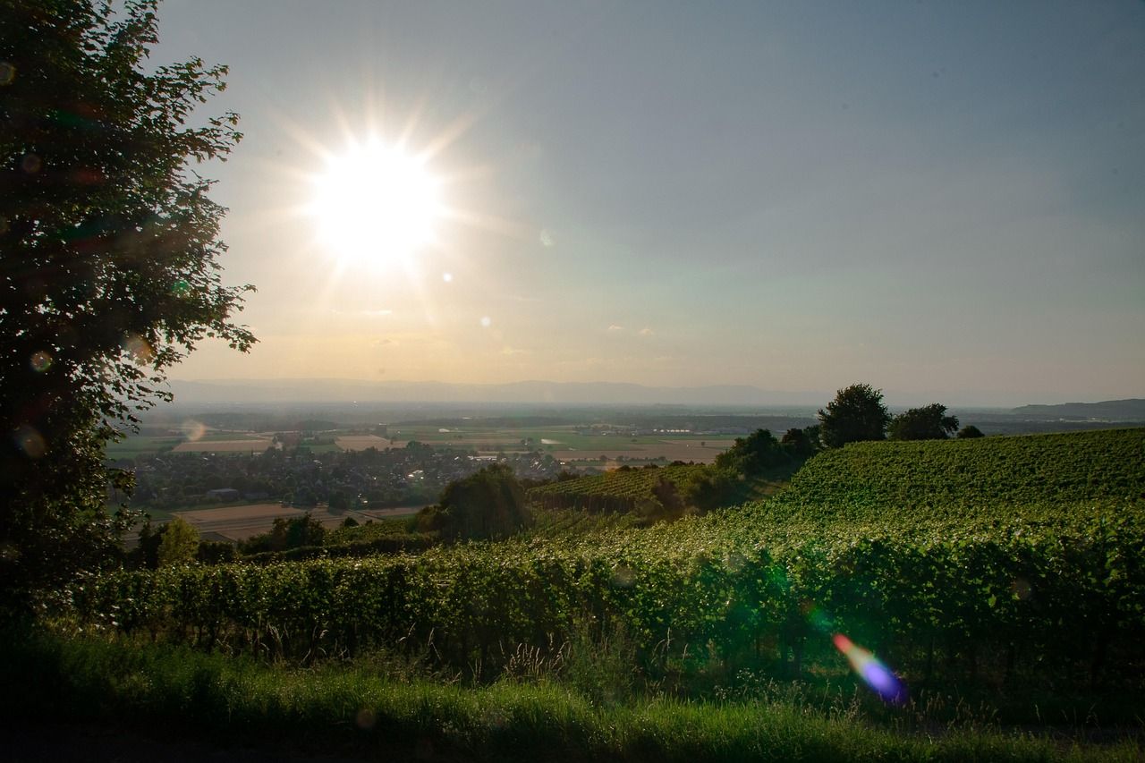 Hotels, Campingplätze und Ferienwohnungen in Breisgau-Kaiserstuhl