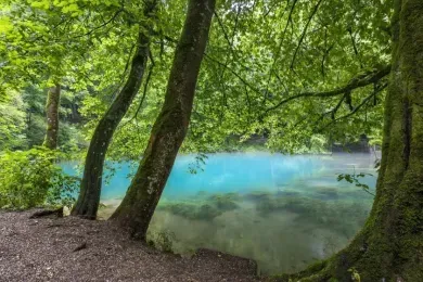 blautopf.webp