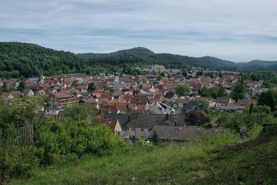 Stadtfest in Dahn