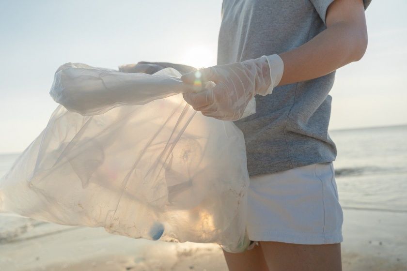 Bodensee Clean Up Days