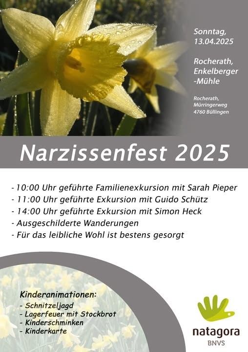 Narzissenfest in Büllingen Narzissenfest in Büllingen