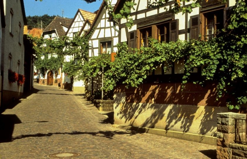 Weinfest in der Winzergasse Weinfest in der Winzergasse
