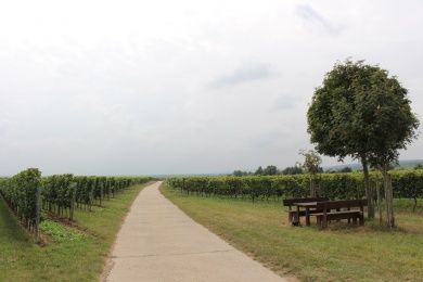Zellertal Radweg