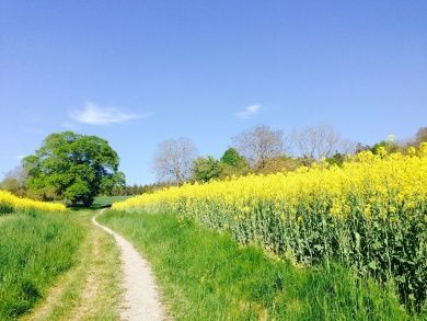 Premiumwanderweg GuckinsLand