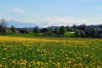 Panorama-Wanderweg Panorama-Wanderweg