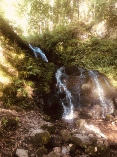 Himmelssteig in Bad Peterstal-Griesbach