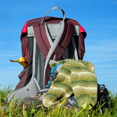 backpack-2774062_1280.jpg