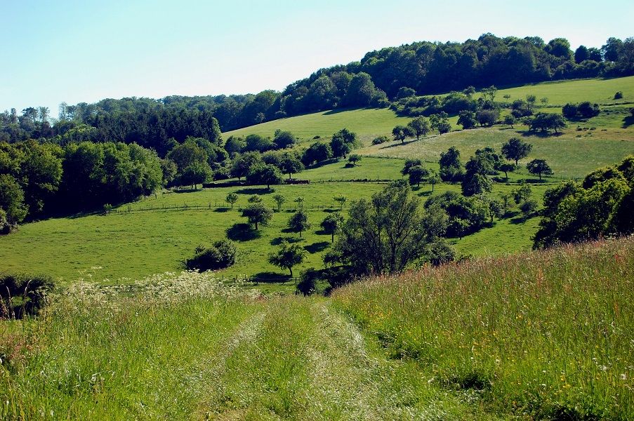 Zweiburgen Extratour